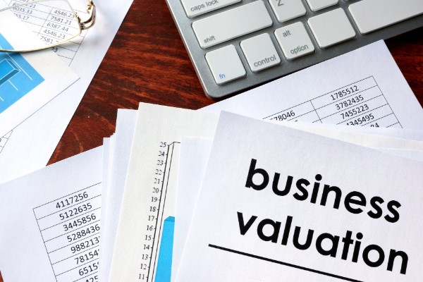 business valuation software